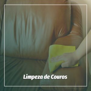 curso limpeza de couro ecolimp 1111