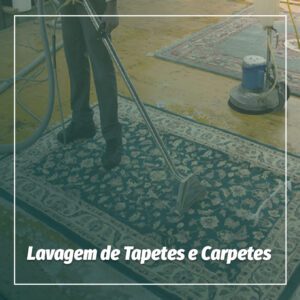 curso lavagem de tapete ecolimp